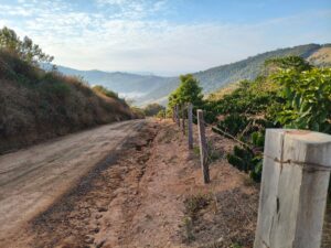 IMG 20250709 080548 1