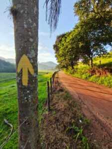 Imagem do WhatsApp de 2025 03 17 as 09.30.46 225da1a1